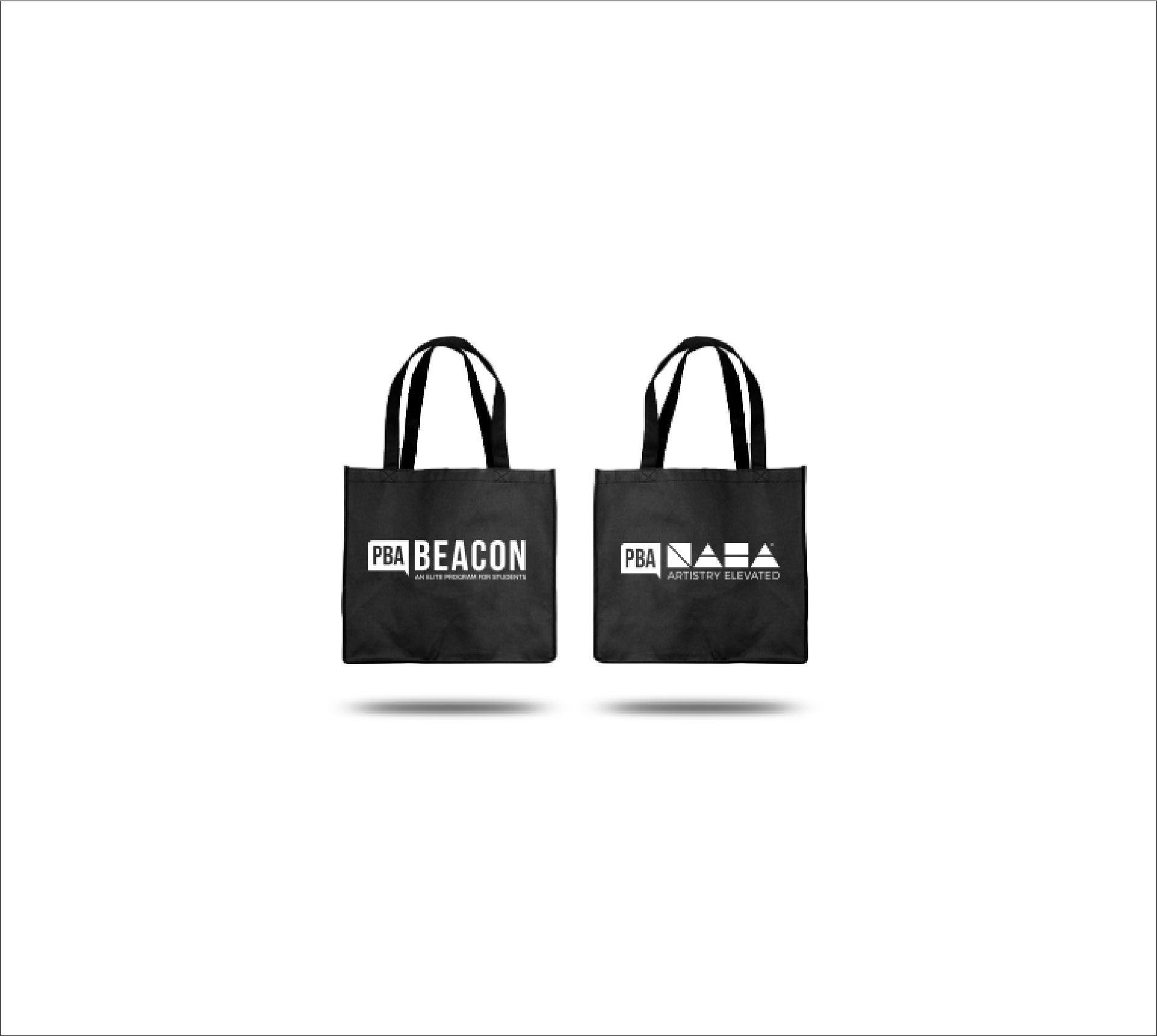 Picture of PBA's Beacon Student Program and NAHA swag bags